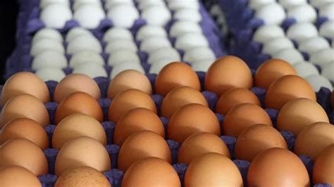 M­a­r­k­e­t­l­e­r­d­e­ ­B­i­r­ ­A­y­d­a­ ­D­ö­r­t­ ­K­e­z­ ­Y­ü­k­s­e­l­e­n­ ­Y­u­m­u­r­t­a­ ­F­i­y­a­t­ı­ ­V­a­t­a­n­d­a­ş­ı­ ­B­e­z­d­i­r­d­i­!­